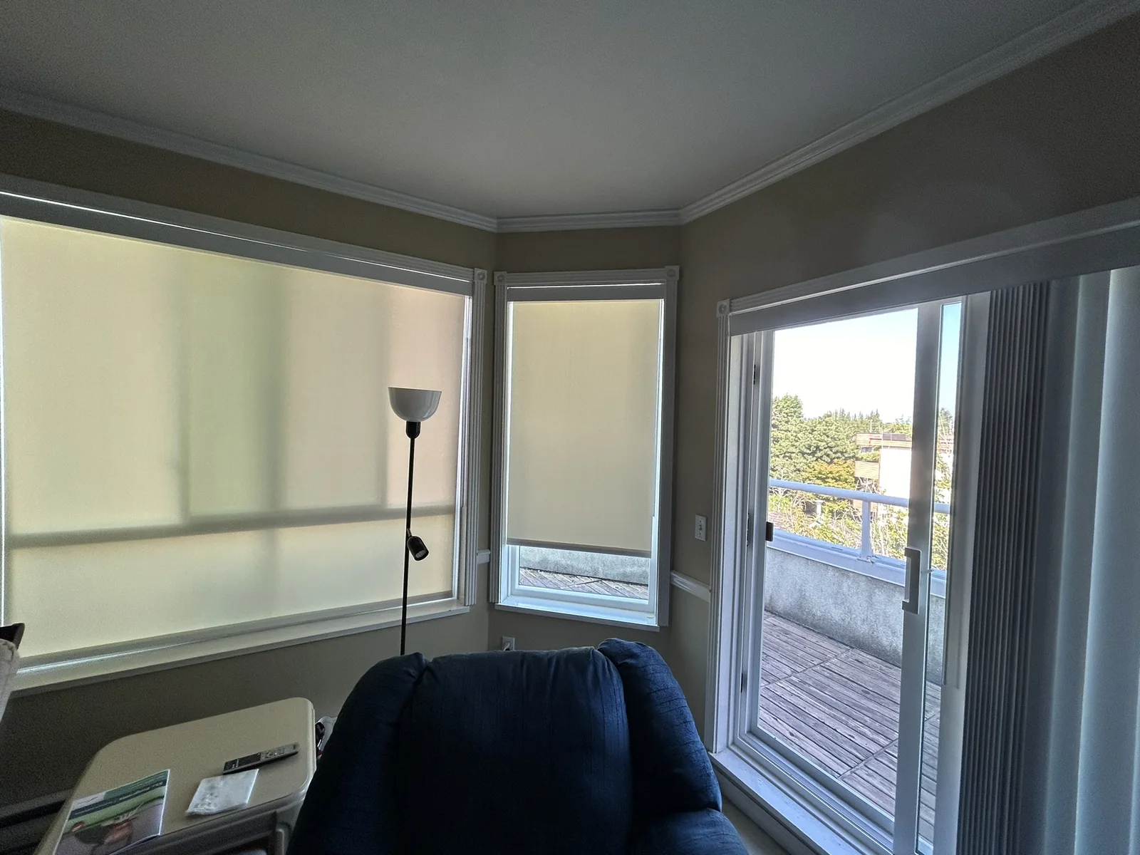 Window coverings from the AAA Blinds motorized product library