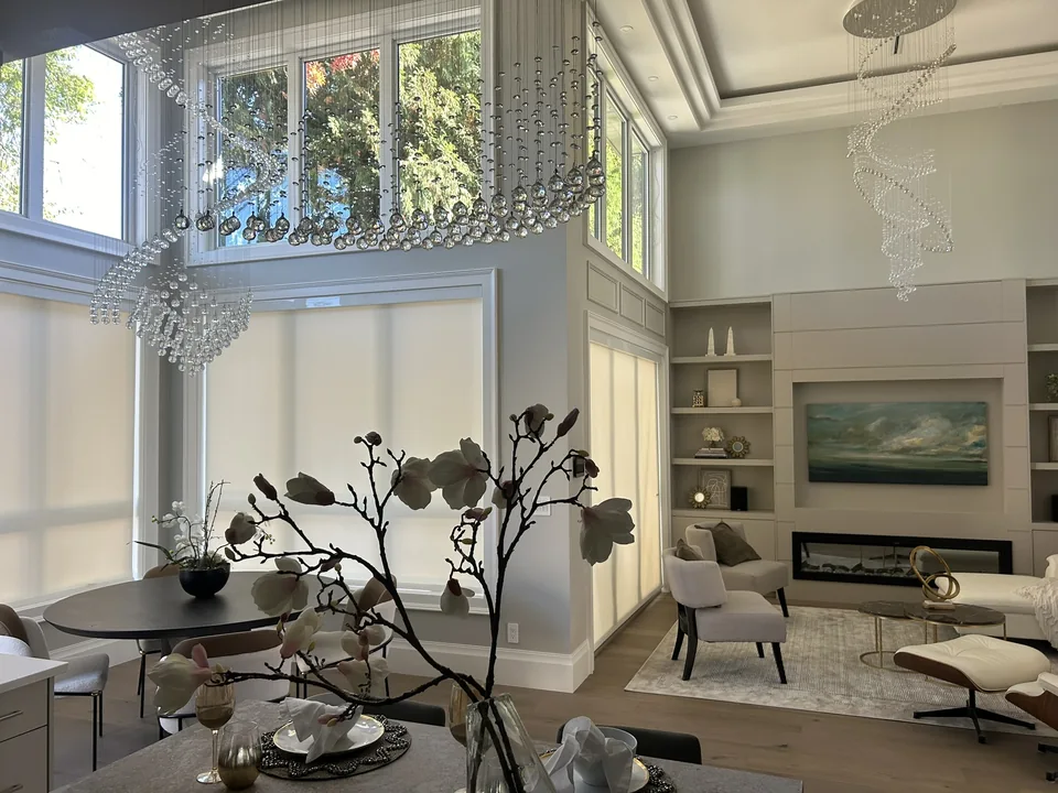 Roller shades from the AAA Blinds photo library