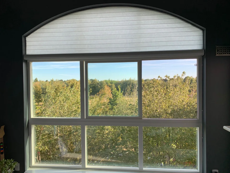 A curved transom above a view