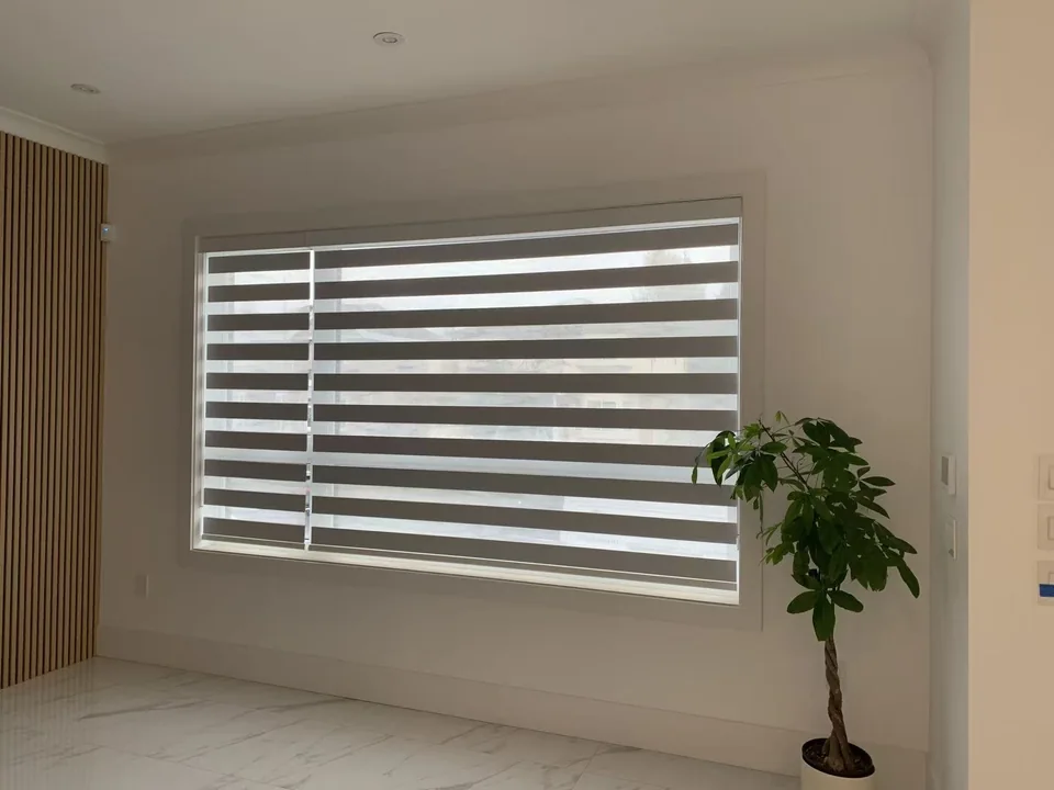 A clean frame for daylight